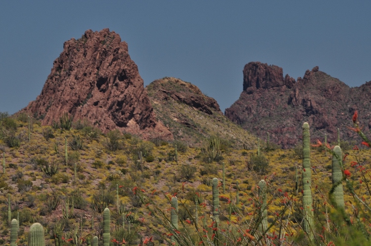 the desert floor
